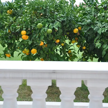 Daire Ananina Portorož