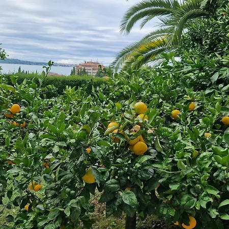 Ananina Daire Portorož