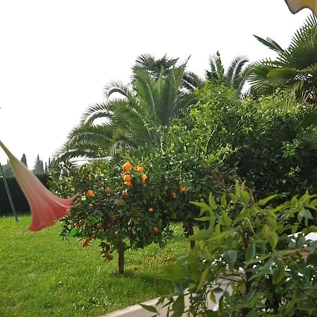 阿纳尼那公寓酒店