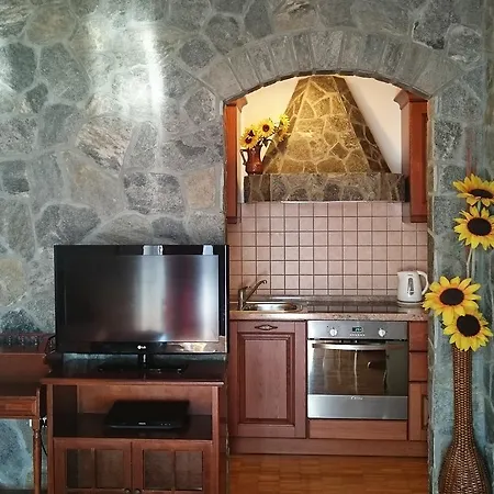 公寓 阿纳尼那公寓酒店 *