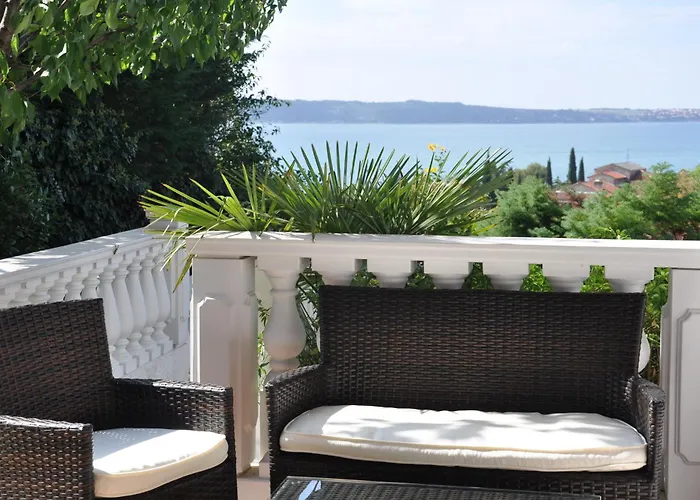 Ananina ポルトローシュ