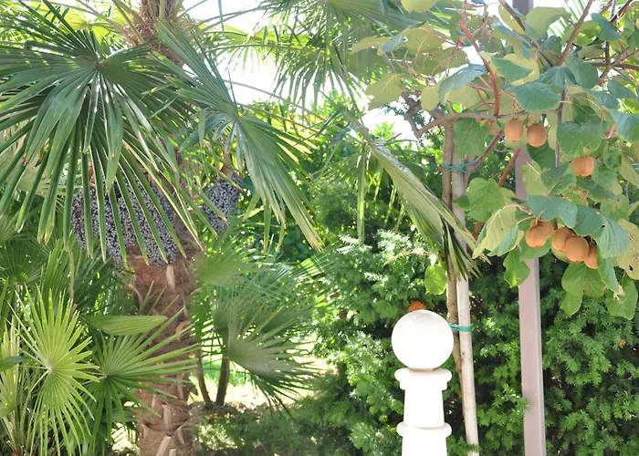 Appartamento Ananina *