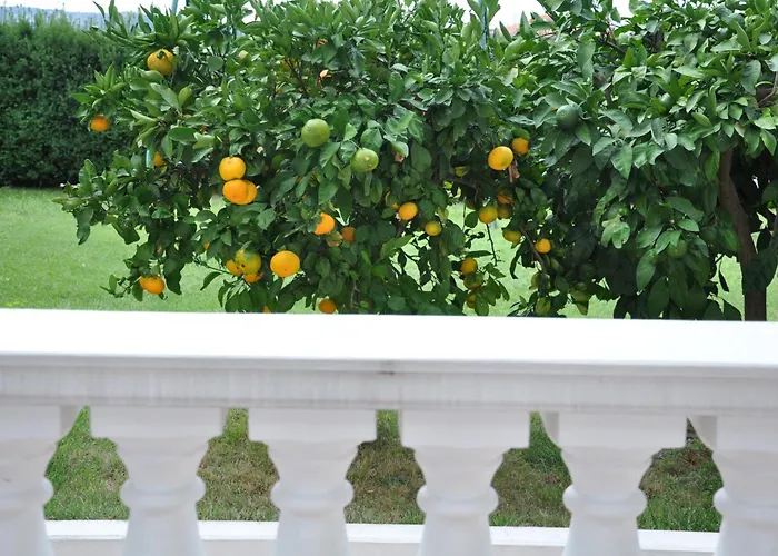 Appartamento Ananina Portorose