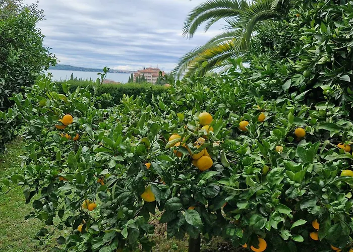 Ananina Lägenhet Portorož